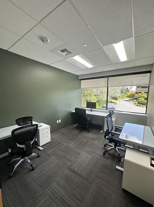 Team Office for 4