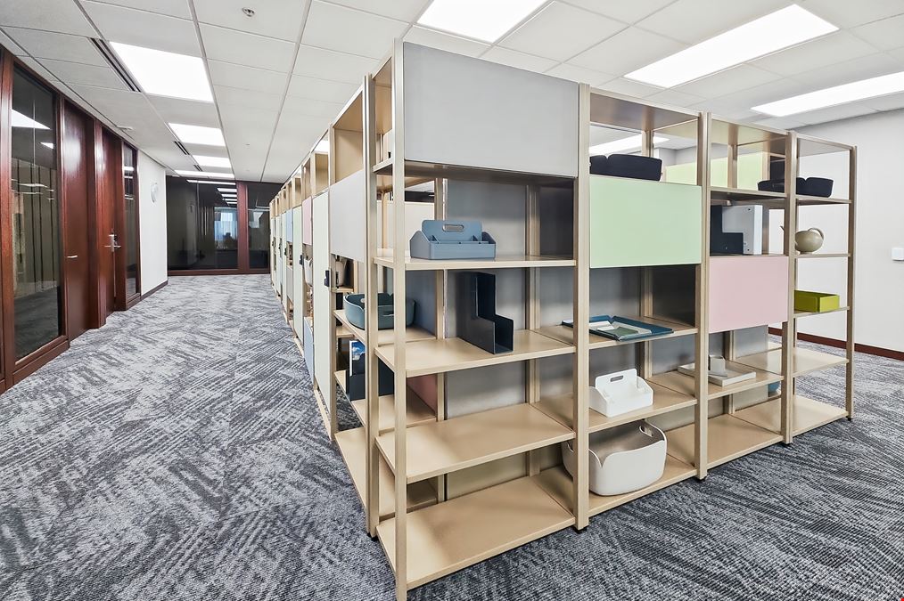 NC, Durham - Shannon Road