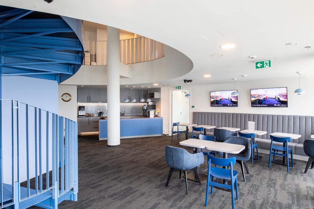 BeIN Offices Zebra White