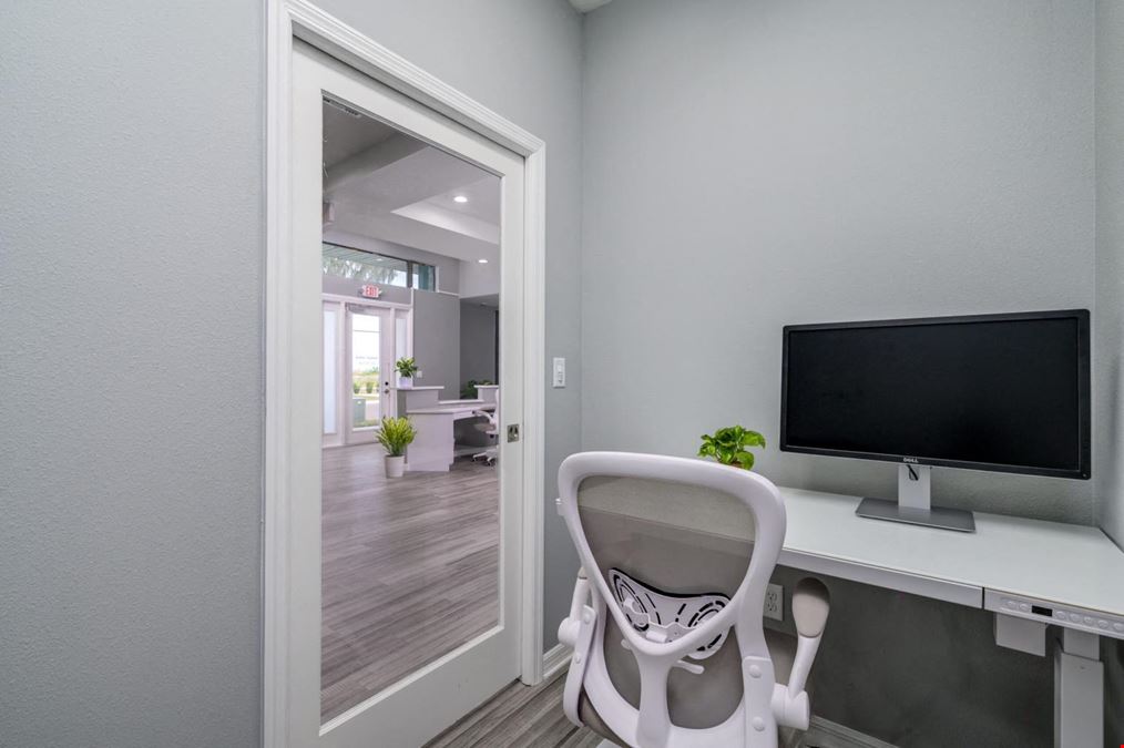 Mango Space - Wesley Chapel