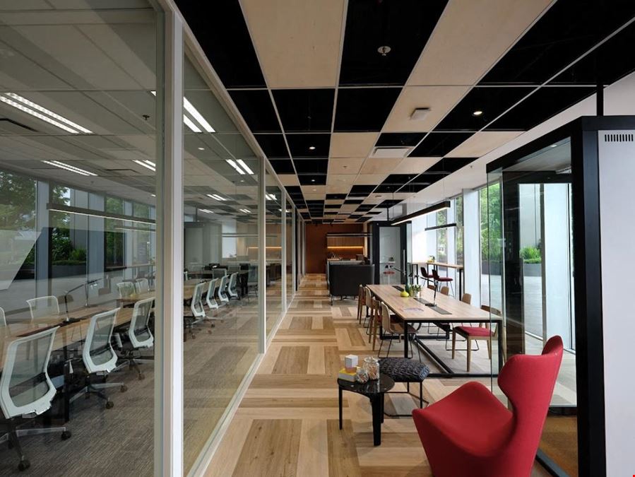 The Work Project - Ascent