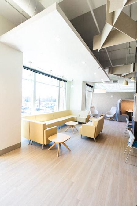 Studio Suites