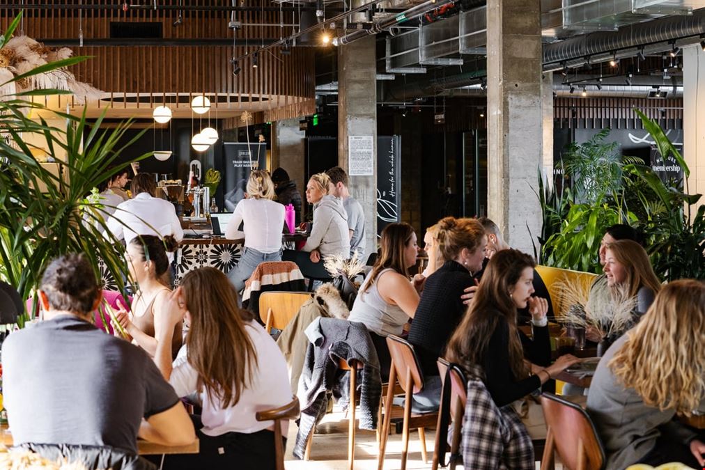 Nurture: The Wellcare Marketplace