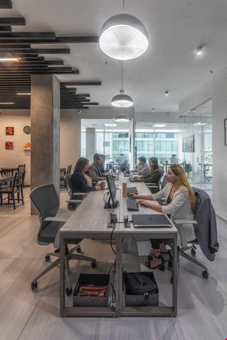 Best Oficinas - León 7