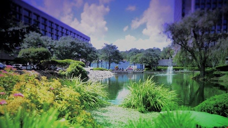 Pearl River Office Evolution