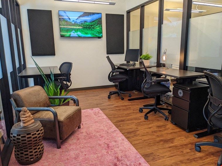 3-4 Person Private Office Day Pass ($150/day)