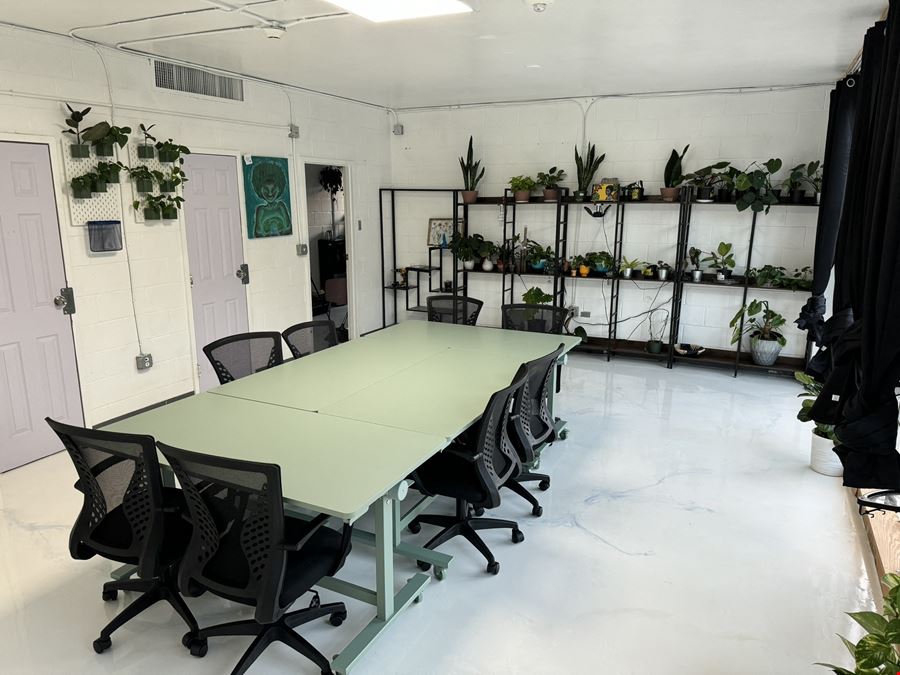 The Plant Apothecary