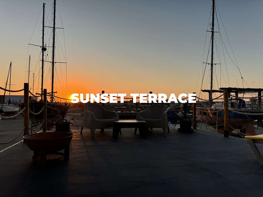 Octopus Concept Club