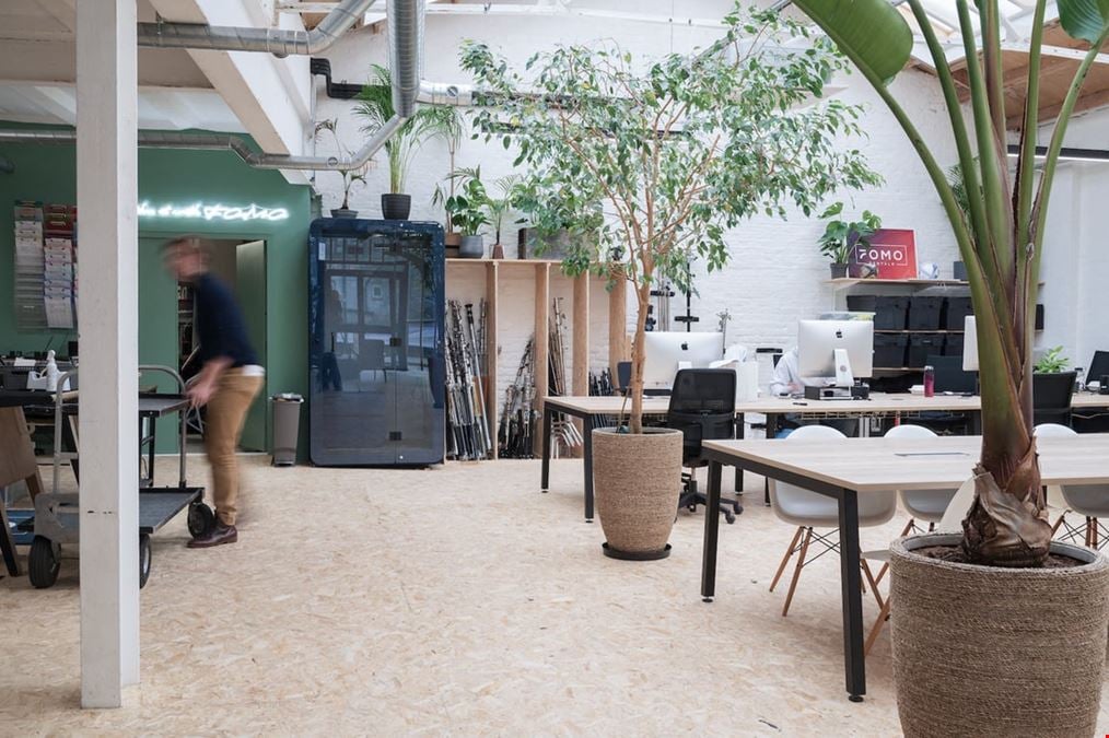 Canvas Offices - FOMO House