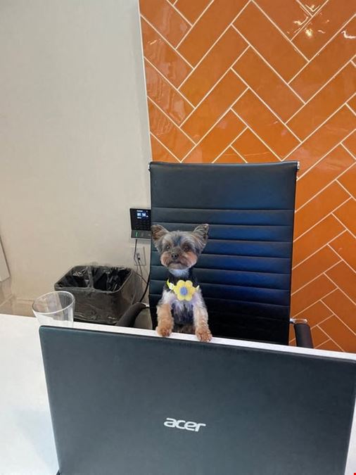 6-Person Office