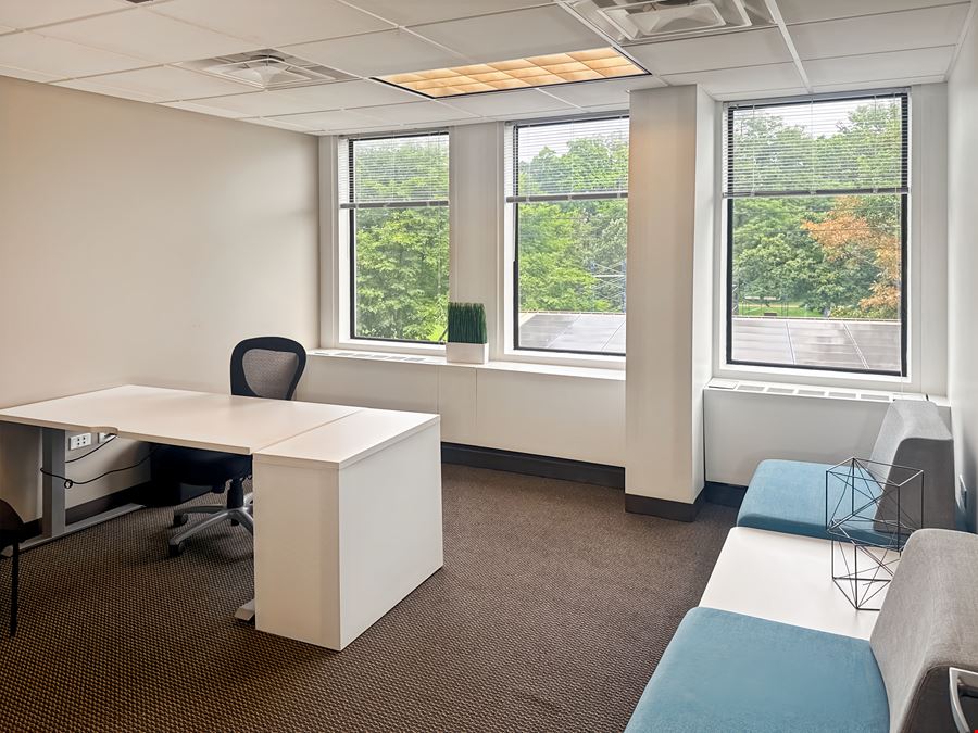 IL, Oak Park - Oak Park