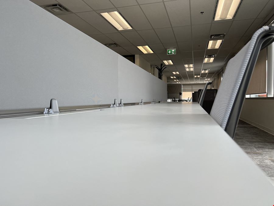Hot Desk Day Pass