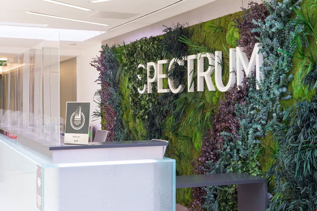 Impact Working - Spectrum