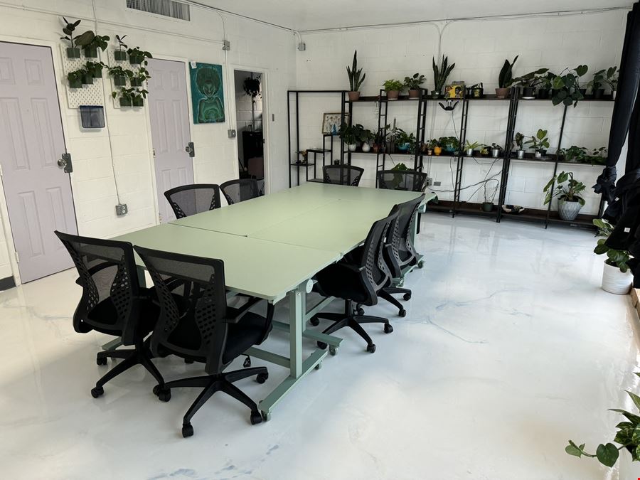 The Plant Apothecary