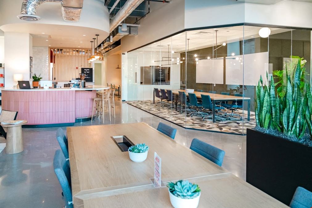 The Root - Fayetteville