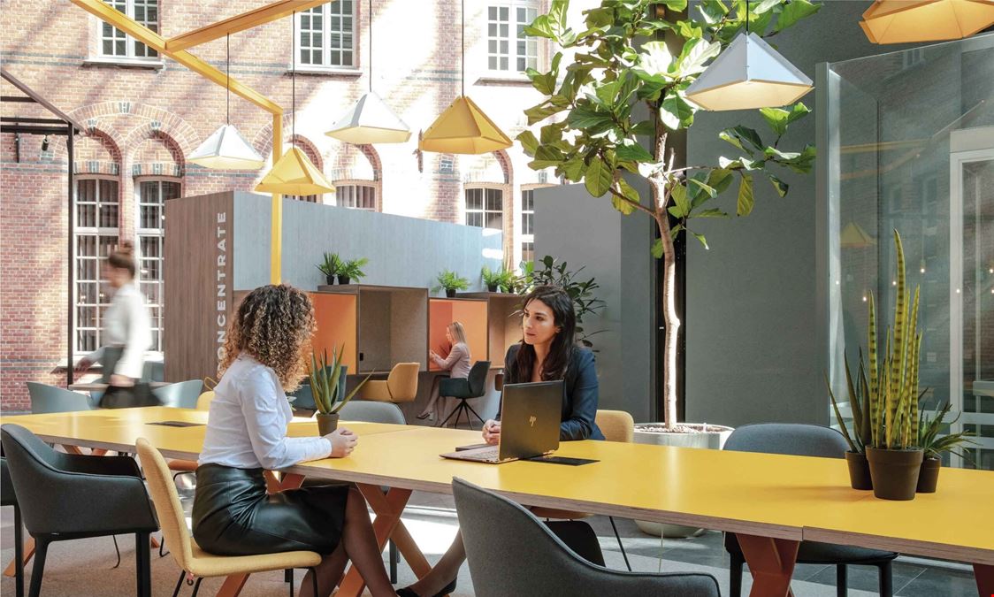 Interoffices - Turnhout