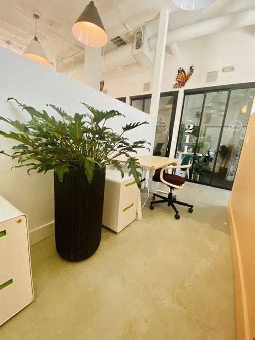 Semi-Private Desks