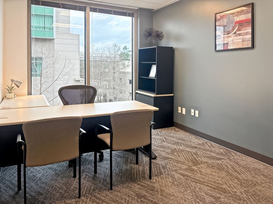 Regus - The Woodlands - Waterway