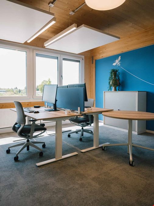 Satellite - Honeycamp