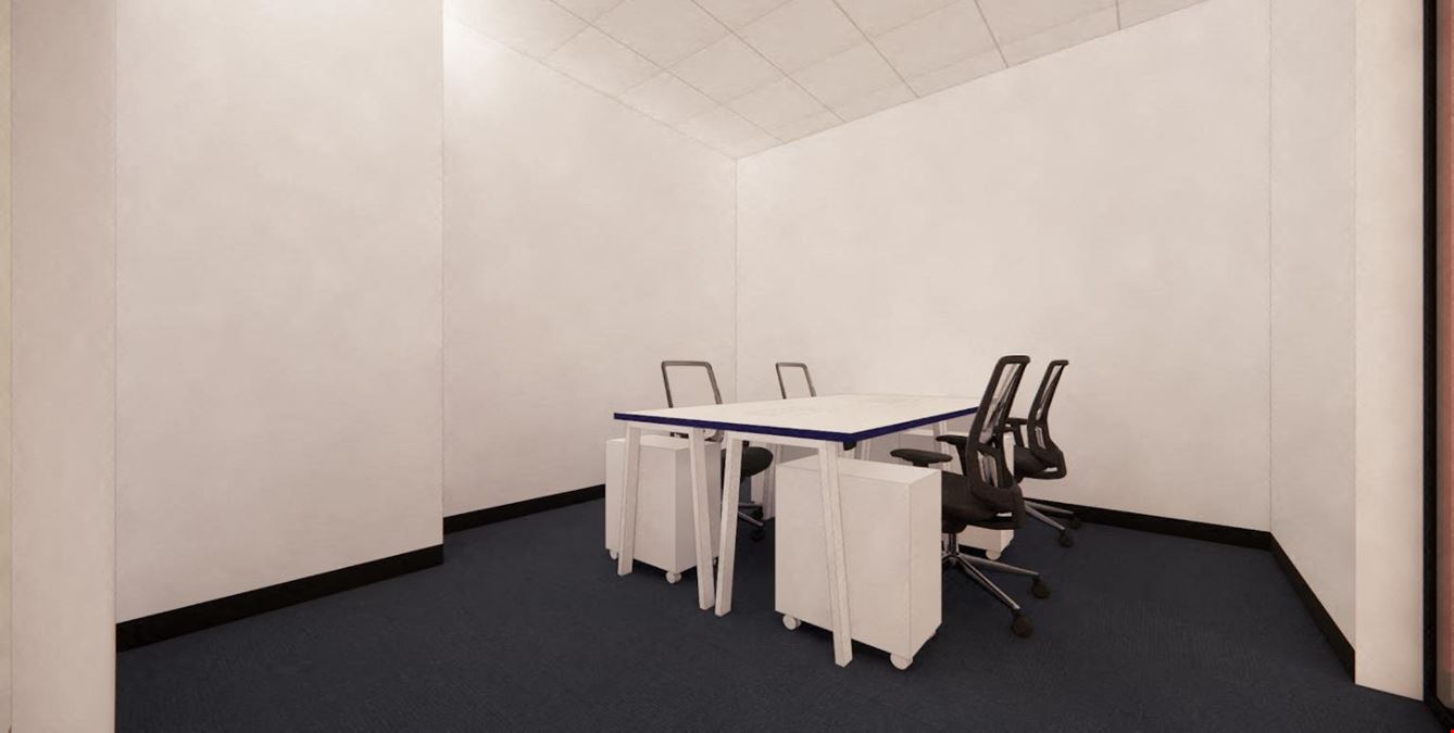 The Work Project - Geneo