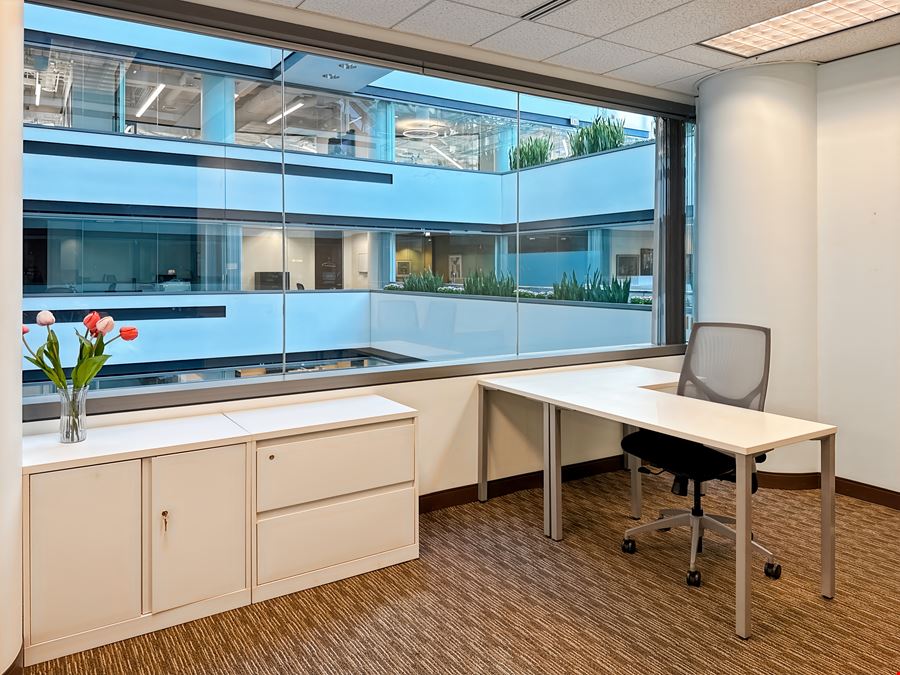 Regus - Chicago - North LaSalle