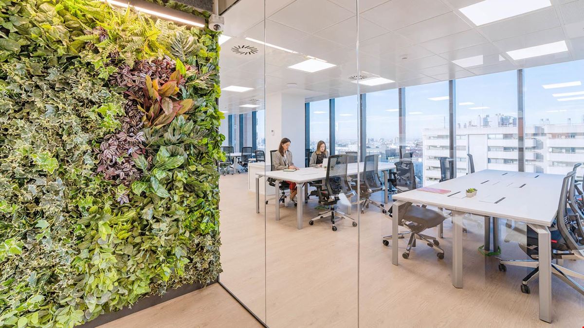 Lexington - Príncipe De Vergara 132