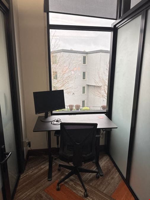 Private Window Office | Sit-Stand Desk + Cold Brew & Kombucha on Tap