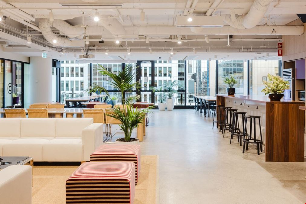 WeWork - 333 George St