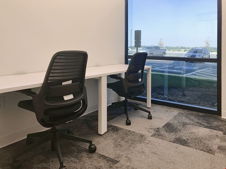 TN, Mount Juliet - Bear Crossing