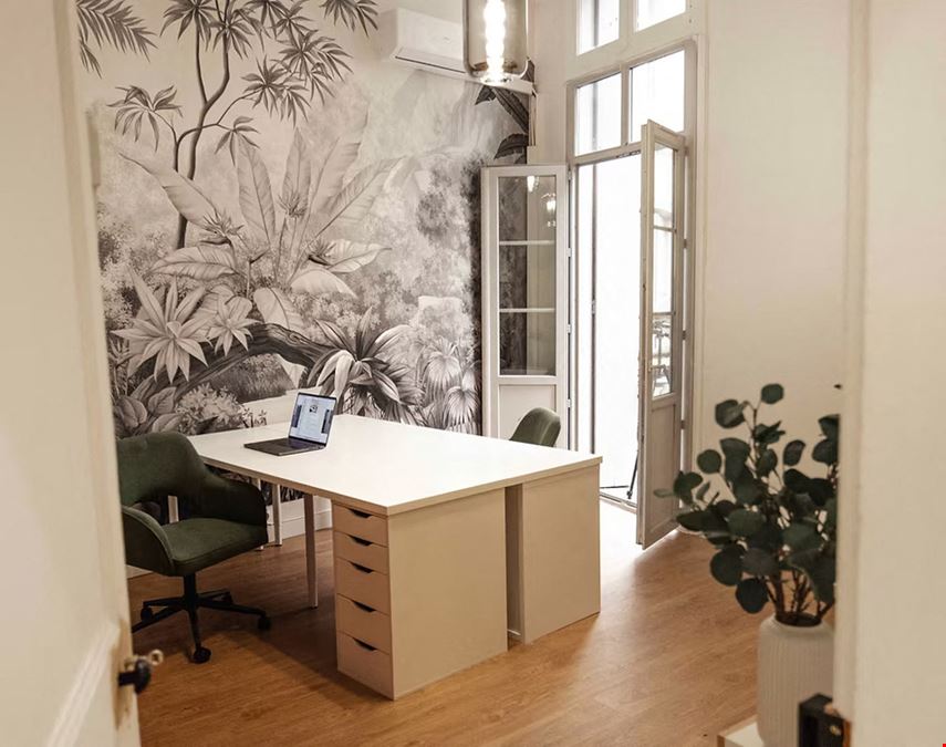 Lémurs Place du Marché aux Fleurs