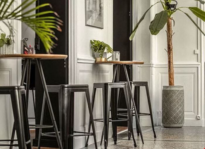 Lémurs Place du Marché aux Fleurs