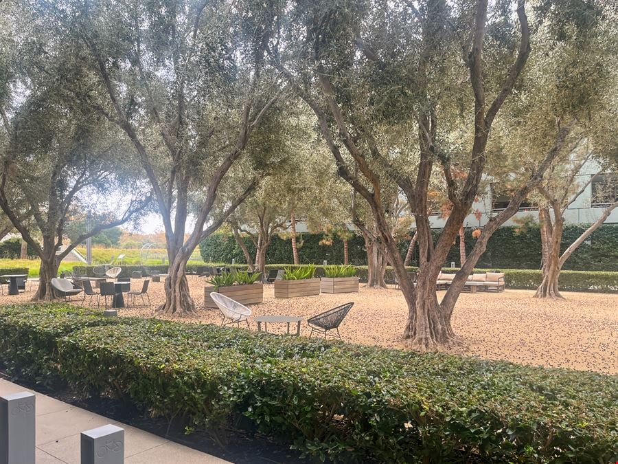 CA, Santa Clara -  Augustine 101