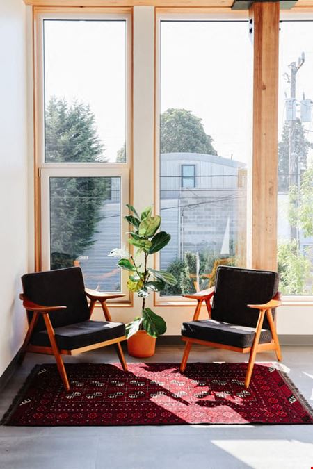 The Pioneer Collective - Ballard