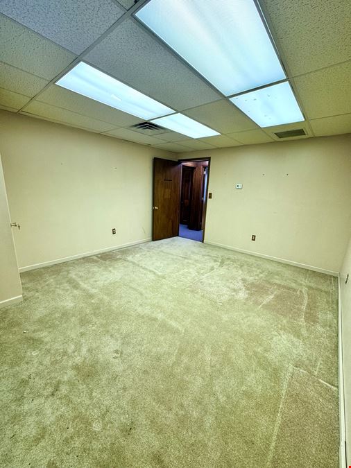 One Village Alliance, Freedom