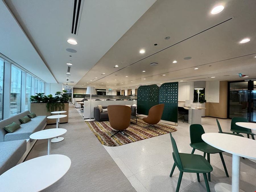 The Executive Centre - Singapore  - Singapore Land Tower