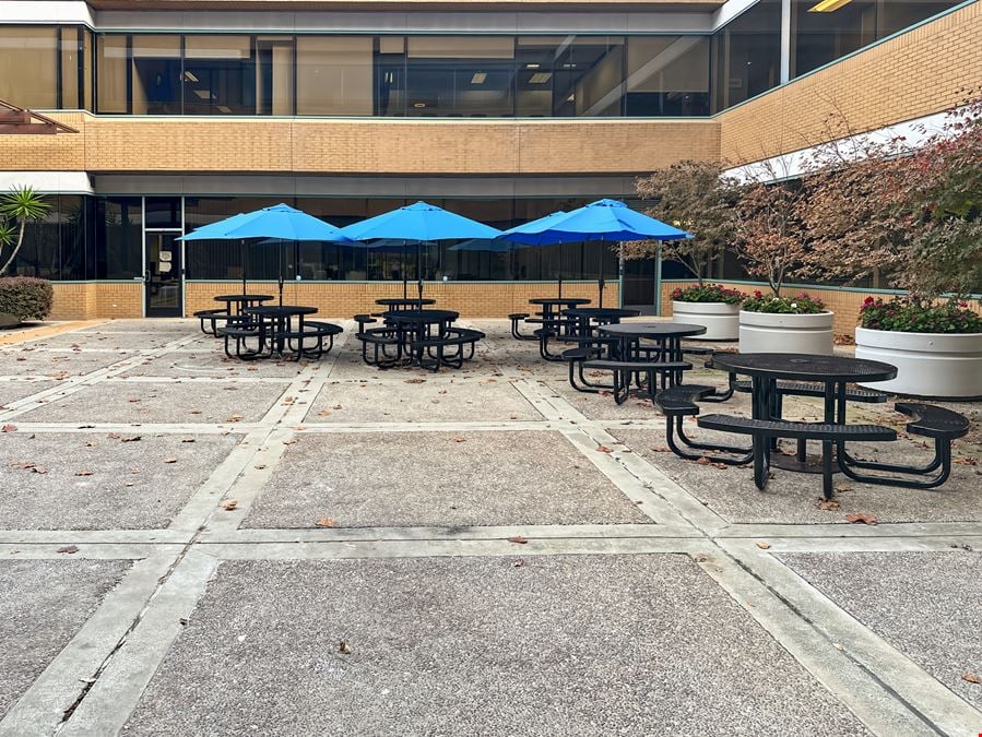 Mountain View Downtown