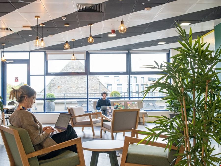 Huckletree - Dublin