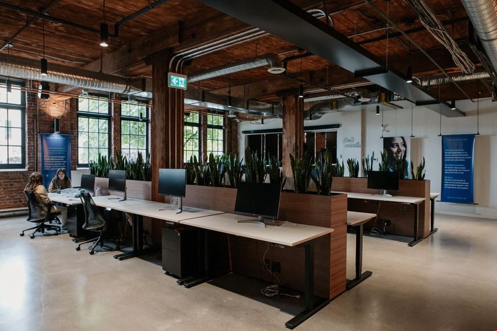 Ally Global Foundation