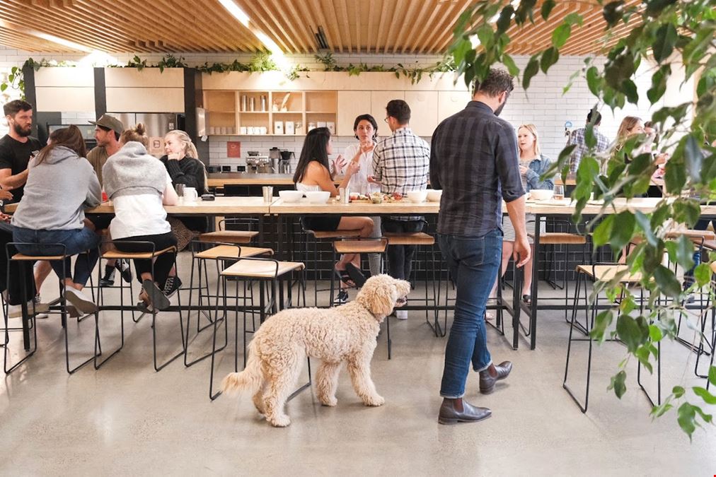 The Commons - South Melbourne