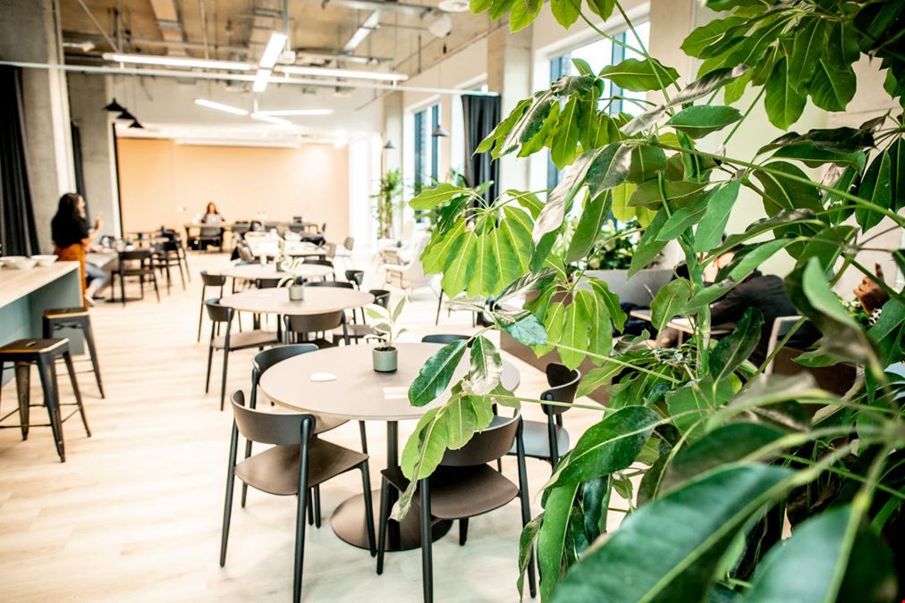 XandWhy - Chiswick Works