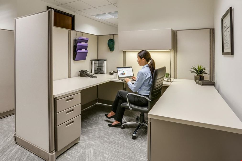 Central Park at Toluca Lake