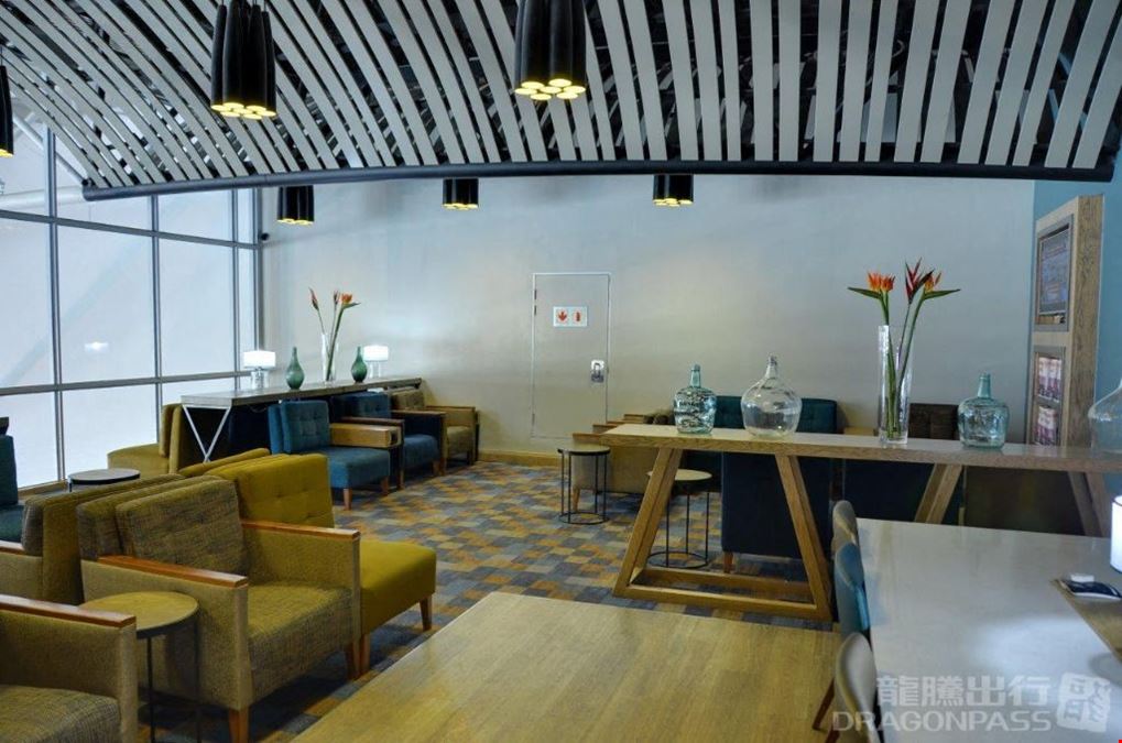 Bidvest Premier Lounge Cape Town International 1 Cape Town International Airport International Terminal