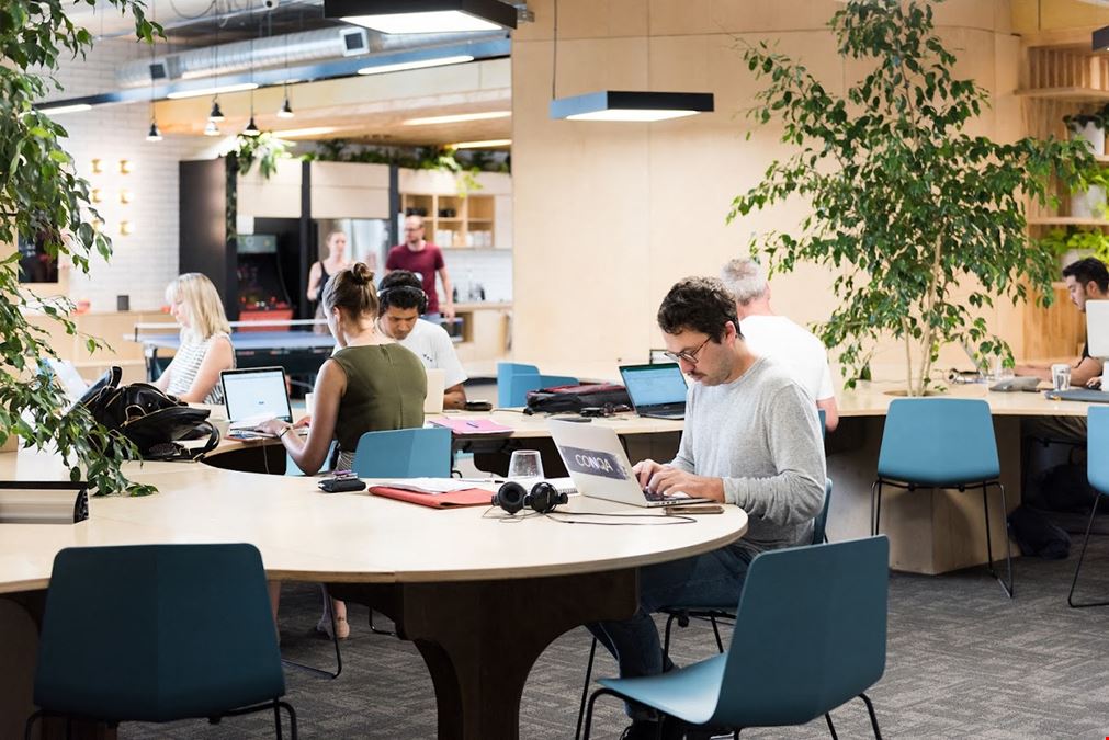 The Commons - South Melbourne