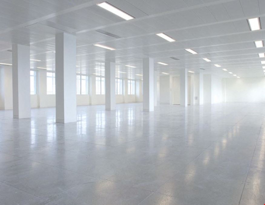 Kitt - 33 Cavendish Square