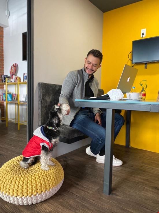 Preview of Chez Vous Cervantes Office space for Rent in Mexico City