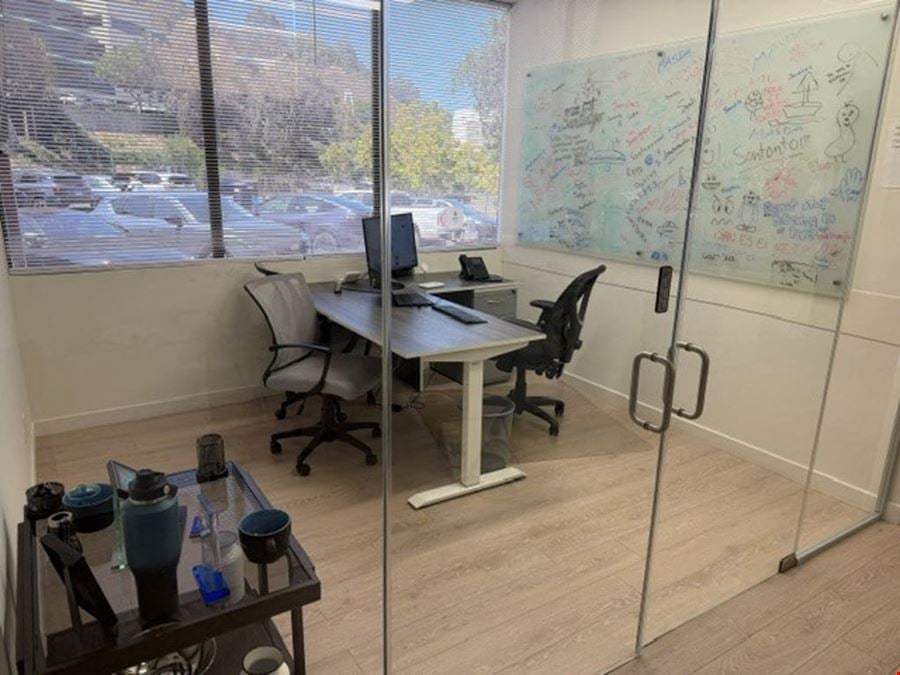 Large Private Office
