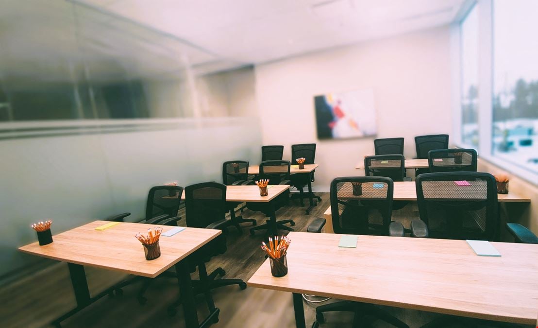 Professional Training Room