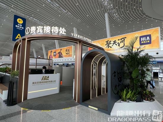 Preview of No. 1 VIP Reception  (T2 Domestic) Tianhe International Airport Terminal 2 Office space for Rent in Wuhan City
