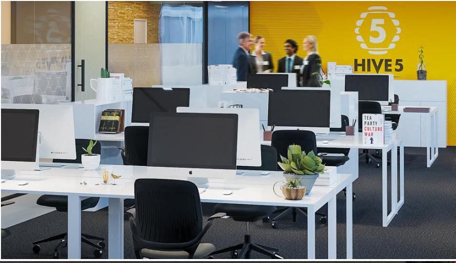 Hive5 - Saint-Michel Course