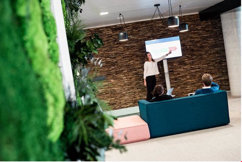 Hive5 - Saint-Michel Course